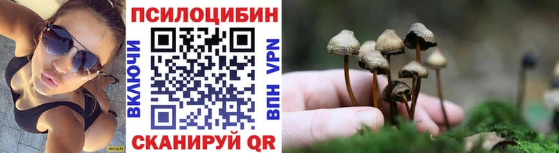 Псилоцибиновые грибы GOLDEN TEACHER  где продают   Сургут 